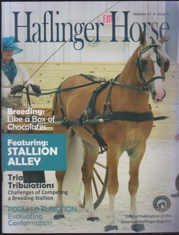 Haflinger Horse Volume 21 Issue 1 Stallion Issue