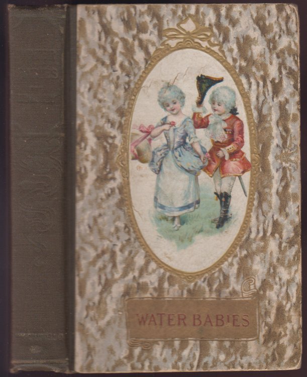 Image for The Water Babies The Water Babies