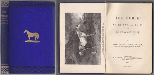 The Horse: As He Was, As He Is and As He Ought To Be
