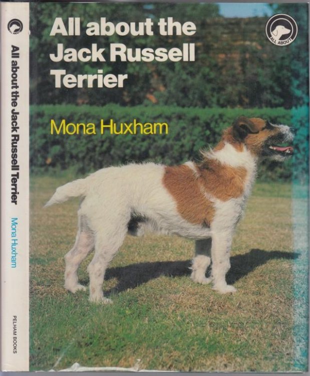 All About the Jack Russell Terrier