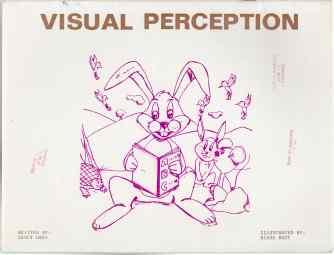 Image for Visual Perception Visual Perception