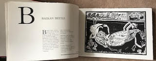 Image for A Millennium Bestiary A Millennium Bestiary