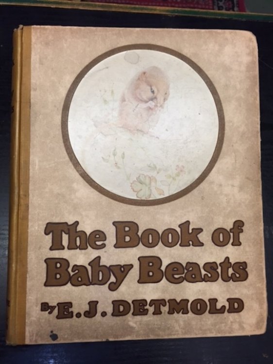 Image for The Book of Baby Beasts The Book of Baby Beasts
