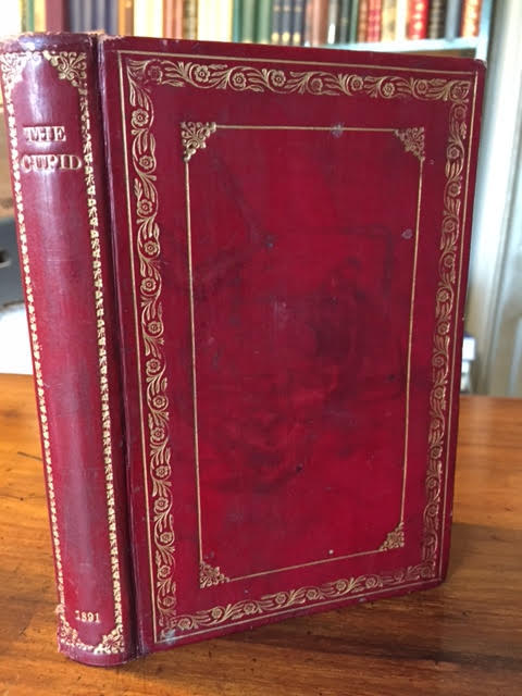 Image for The Cupid: A Collection of Love Songs The Cupid: A Collection of Love Songs
