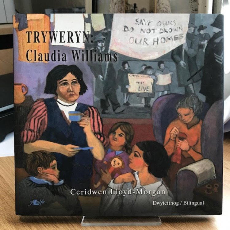 Image for Tryweryn : Claudia Williams Tryweryn : Claudia Williams