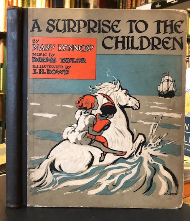 Image for A Surprise to the Children A Surprise to the Children