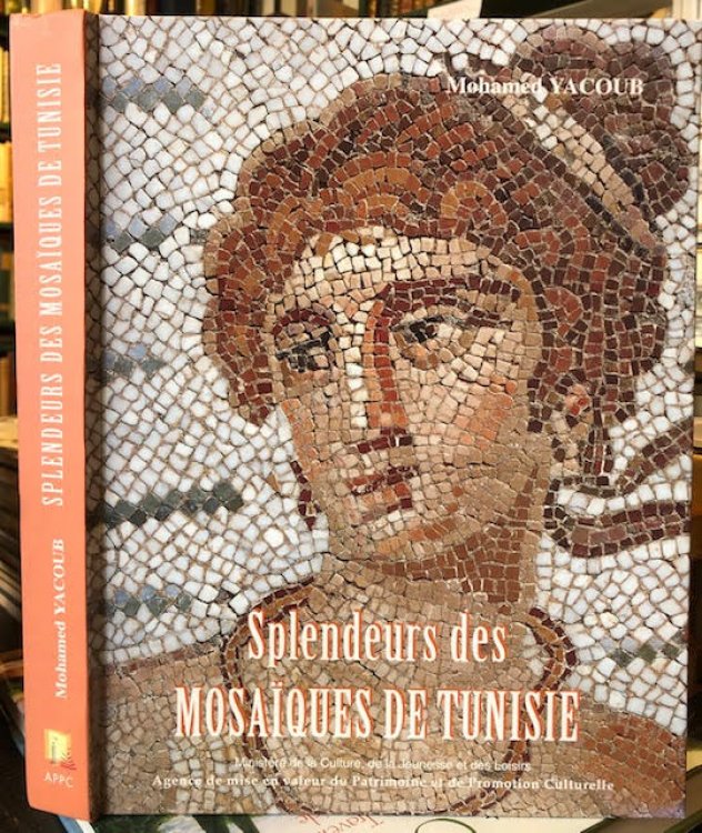 Image for Splendeurs des Mosaiques de Tunisie Splendeurs des Mosaiques de Tunisie