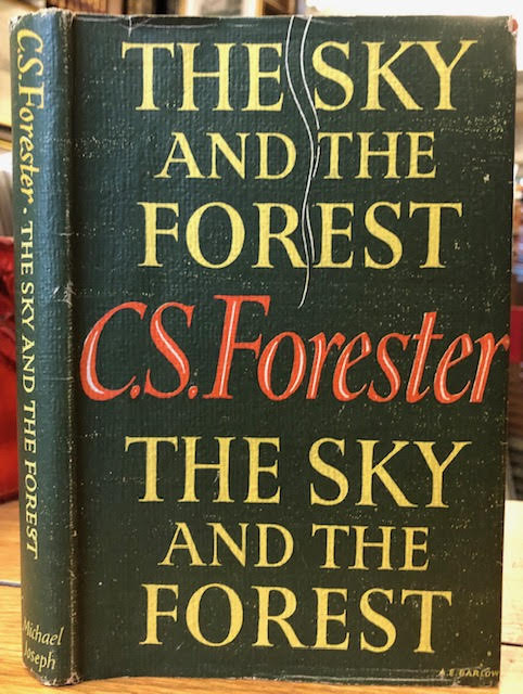 Image for The Sky and the Forest The Sky and the Forest