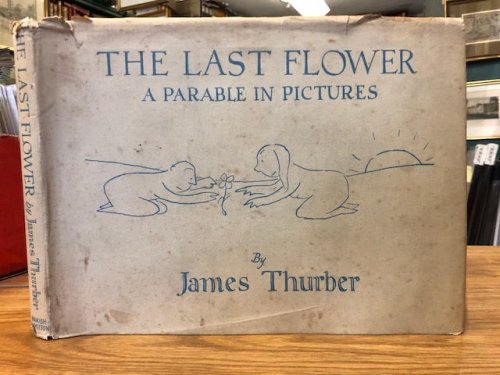 Image for The Last Flower : A Parable in Pictures The Last Flower : A Parable in Pictures