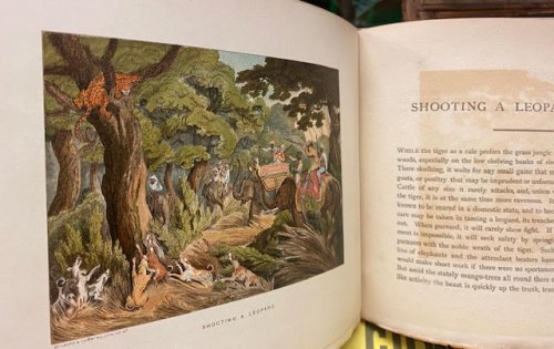 Illustrations of Indian Field Sports. Selected and Reproduced From the Coloured Engravings First Published in 1807 After Designs by Captain Thomas Williamson of the Bengal Army.