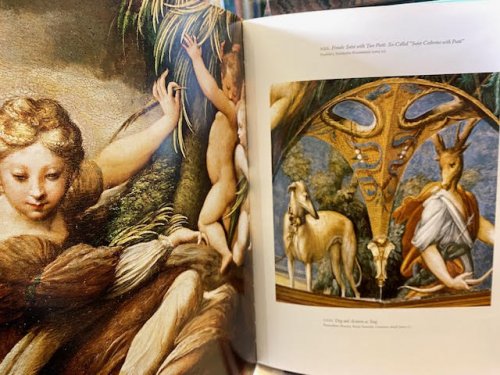 Image for Parmigianino: The Paintings Parmigianino: The Paintings