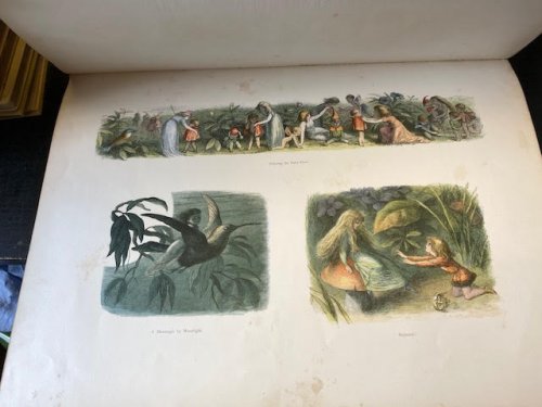 In Fairyland. A Series of Pictures from the Elf-World