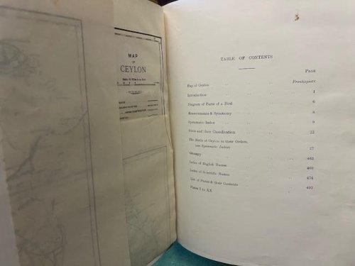 Image for Manual of the Birds of Ceylon. Ceylon Journal of Science Manual of the Birds of Ceylon. Ceylon Journal of Science