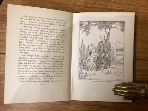 Image for The Kind Companion The Kind Companion