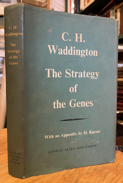 The Strategy of The Genes: A Discussion of Some Aspects of Theoretical Biology