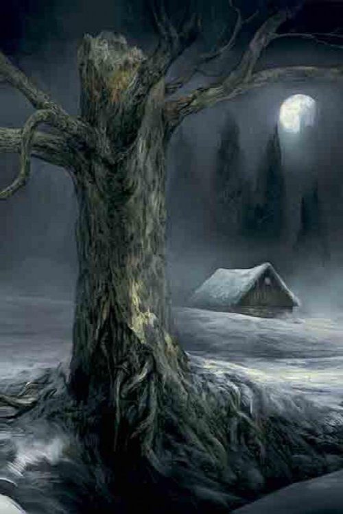 MAYNARD'S HOUSE