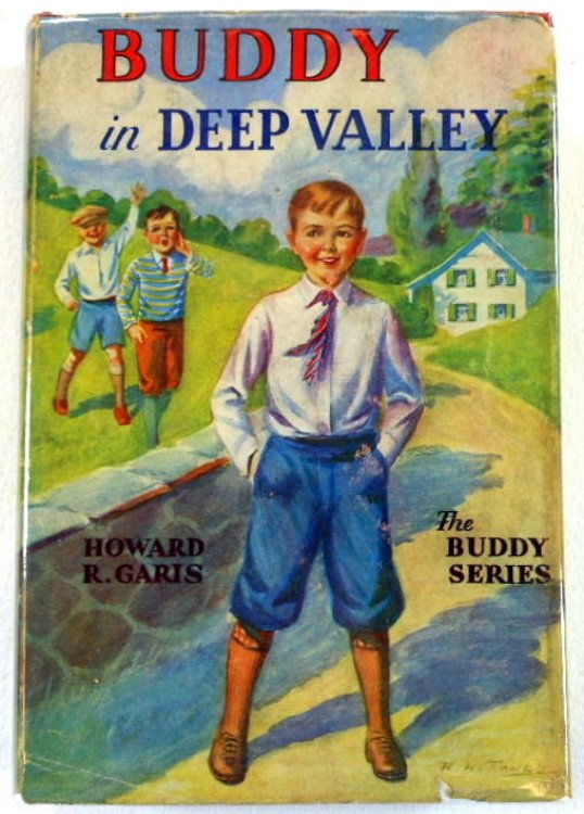 Image for Buddy in Deep Valley; or a Boy on a Bee Farm. Buddy Books No. 16 Buddy in Deep Valley; or a Boy on a Bee Farm. Buddy Books No. 16