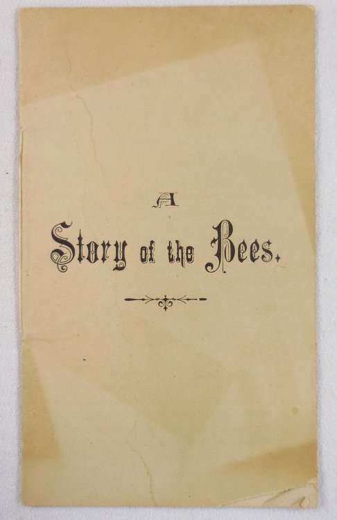 Image for A Story of the Bees A Story of the Bees