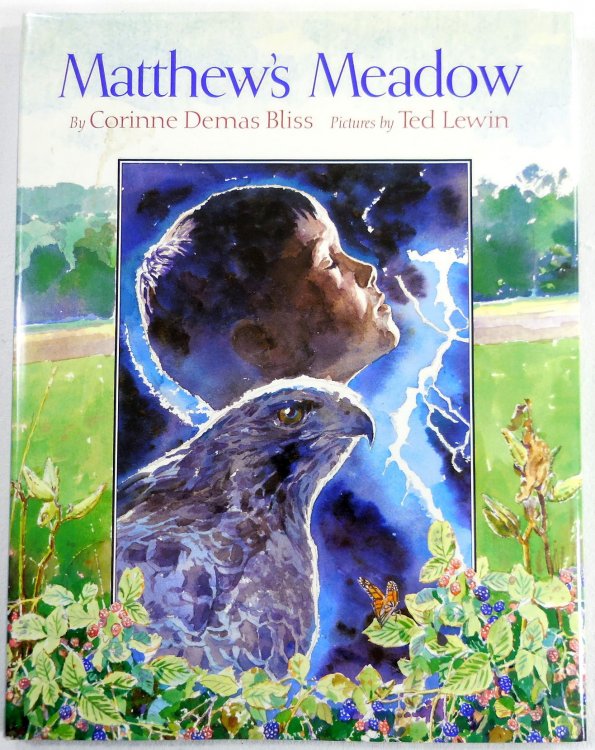 Image for Matthew's Meadow Matthew's Meadow