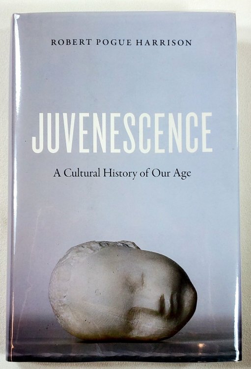 Image for Juvenescence: A Cultural History of Our Age Juvenescence: A Cultural History of Our Age