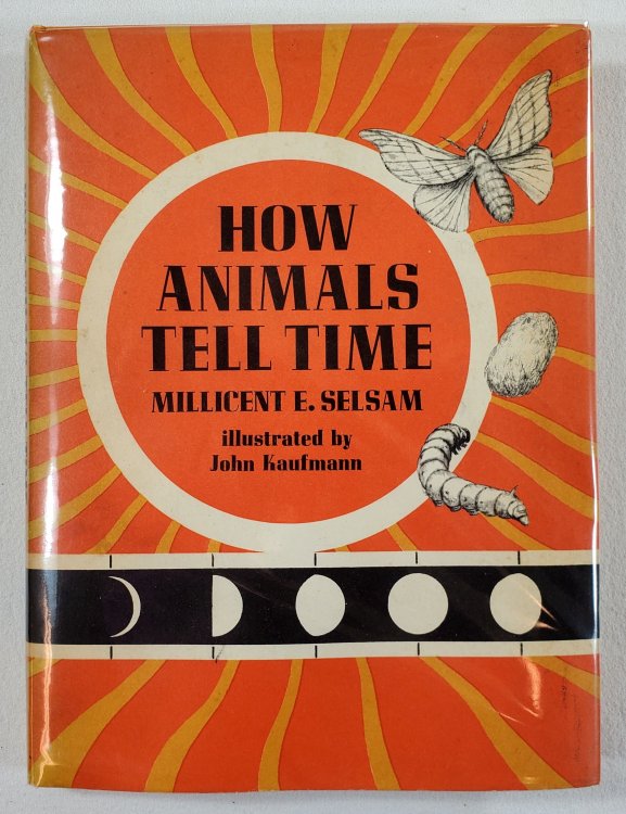Image for How Animals Tell Time How Animals Tell Time