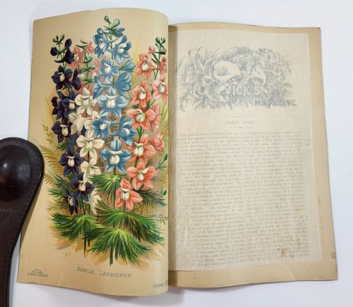 Image for Vick's Illustrated Monthly Magazine. July 1883. Vol. 6, No. 7 Vick's Illustrated Monthly Magazine. July 1883. Vol. 6, No. 7