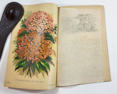 Image for Vick's Illustrated Monthly Magazine. October 1883. Vol. 6, No. 10 Vick's Illustrated Monthly Magazine. October 1883. Vol. 6, No. 10
