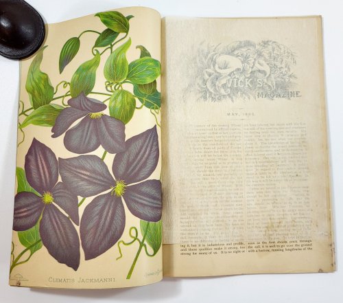 Image for Vick's Illustrated Monthly Magazine. May 1883. Vol. 6, No. 5 Vick's Illustrated Monthly Magazine. May 1883. Vol. 6, No. 5