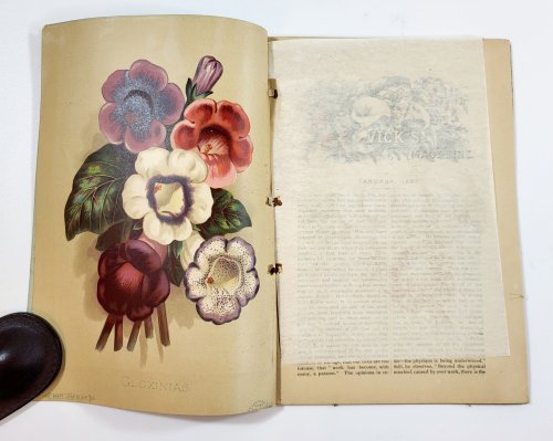 Image for Vick's Illustrated Monthly Magazine. January 1883. Vol. 6, No. 1 Vick's Illustrated Monthly Magazine. January 1883. Vol. 6, No. 1