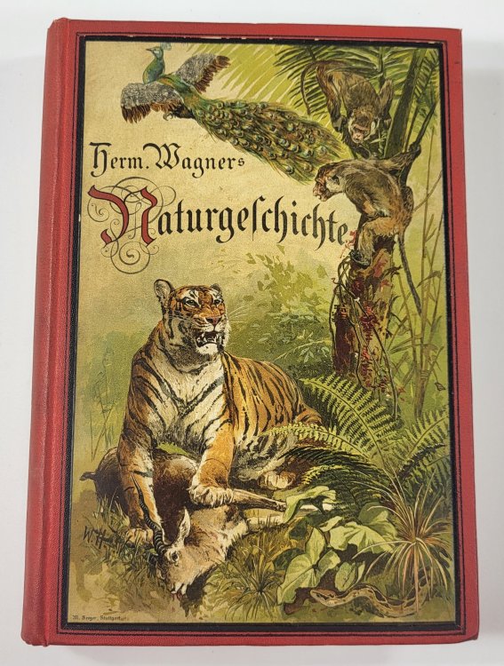 Image for Illustrierte Naturgeschichte Fur Die Jugend Illustrierte Naturgeschichte Fur Die Jugend