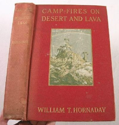 Image for Camp-Fires on Desert and Lava Camp-Fires on Desert and Lava