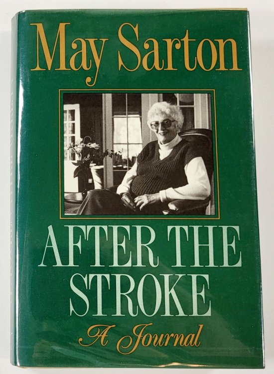 Image for After the Stroke: A Journal After the Stroke: A Journal