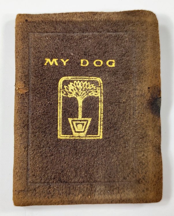 My Dog