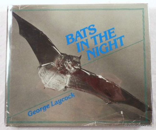 Image for Bats in the Night Bats in the Night