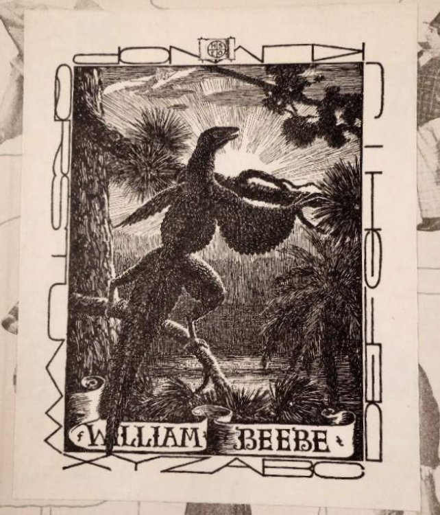 Image for Weber and Fields: Their Tribulations, Triumphs and Their Associates. With Bookplate of William Beebe Weber and Fields: Their Tribulations, Triumphs and Their Associates. With Bookplate of William Beebe