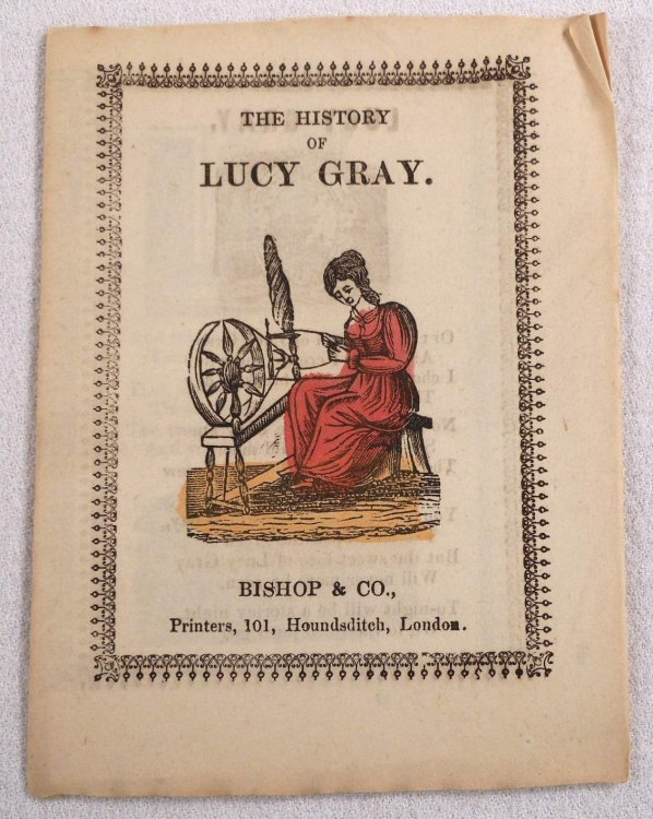 Image for The History of Lucy Gray The History of Lucy Gray