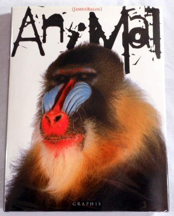 Image for Animal Animal