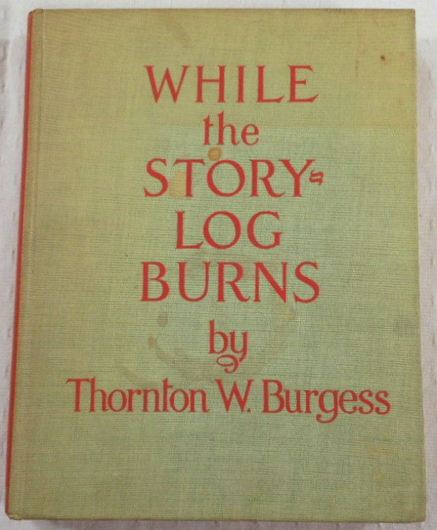 Image for While the Story-Log Burns While the Story-Log Burns