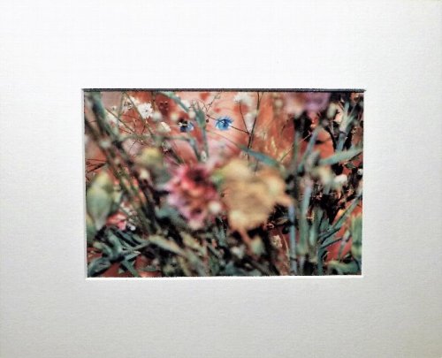 Signed Photograph - Vertigo