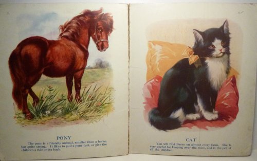 Four Footed Friends