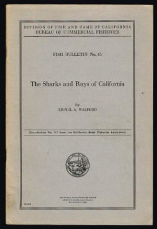 The sharks and rays of California