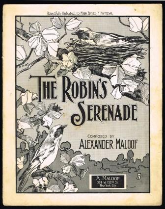 The Robin's Serenade