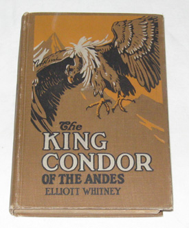 Image for The King Condor Of The Andes The King Condor Of The Andes