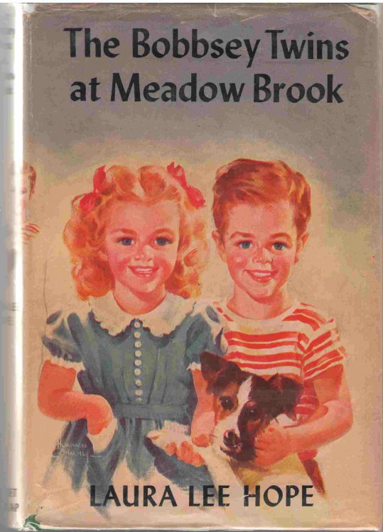 The Bobbsey Twins At Meadow Brook