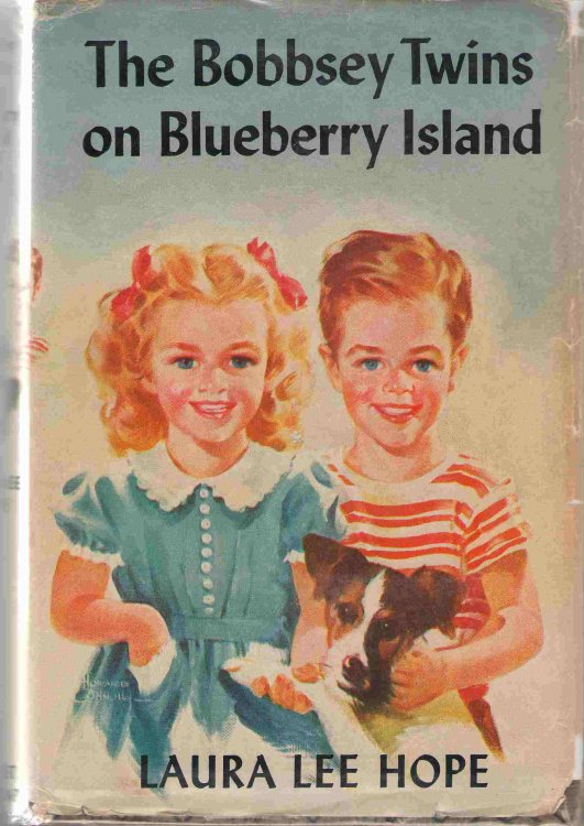 The Bobbsey Twins On Blueberry Island
