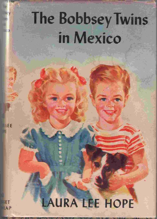 The Bobbsey Twins In Mexico