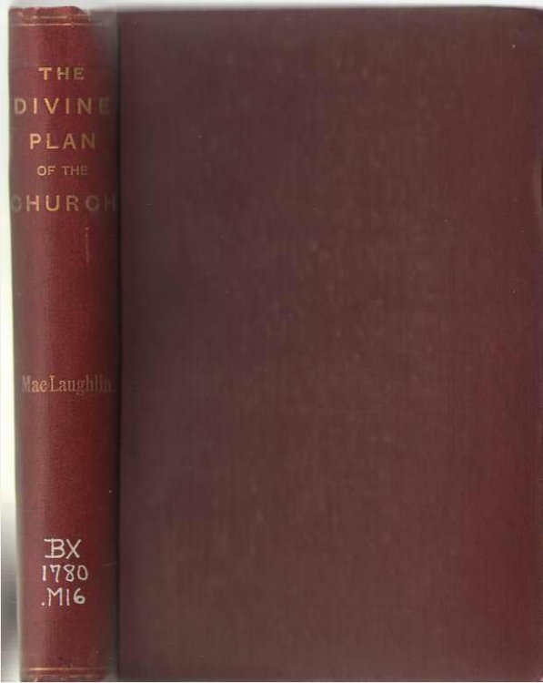 Image for The Divine Plan of the Church Where Realised, and Where Not The Divine Plan of the Church Where Realised, and Where Not