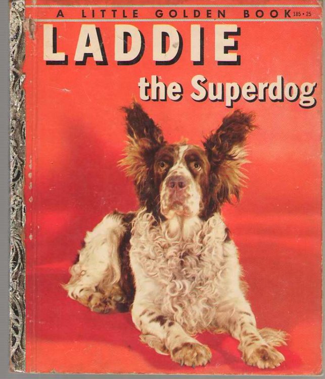 Laddie The Superdog