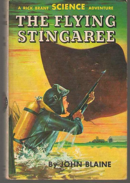 Image for The Flying Stingaree The Flying Stingaree