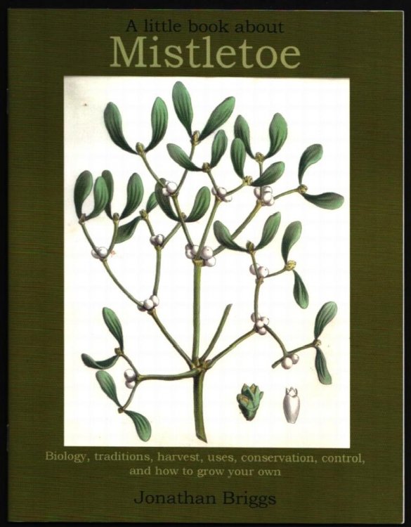 Image for A Little Book About Mistletoe. A Little Book About Mistletoe.